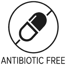Antibiotic Free
